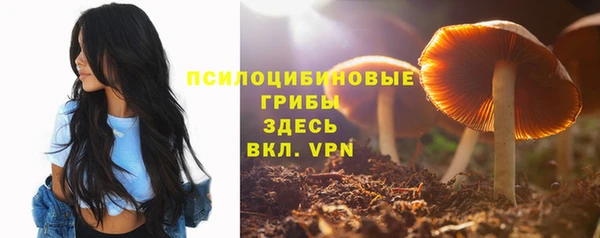синтетический гашиш Балахна