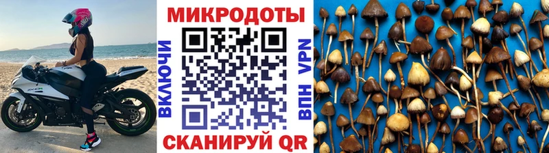 Псилоцибиновые грибы Magic Shrooms  hydra вход  Воскресенск 